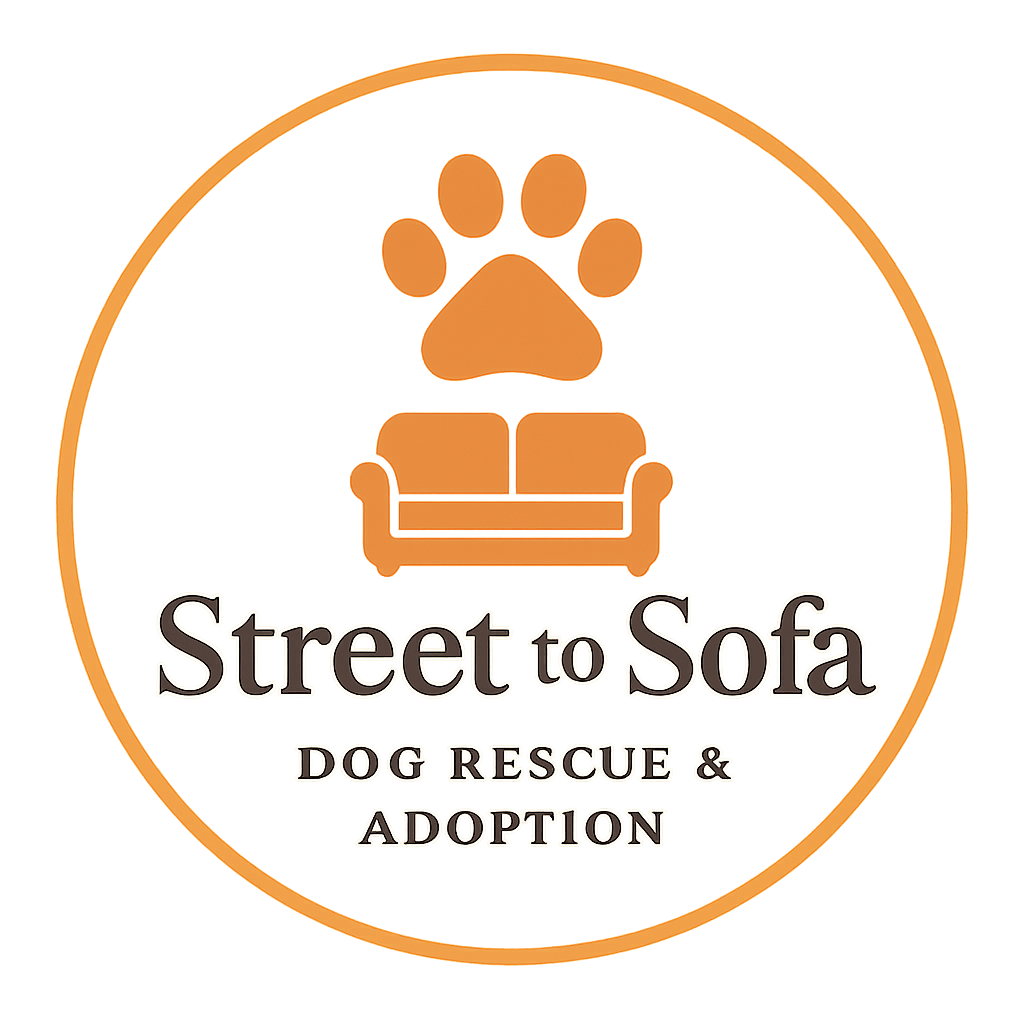 Street to Sofa logo